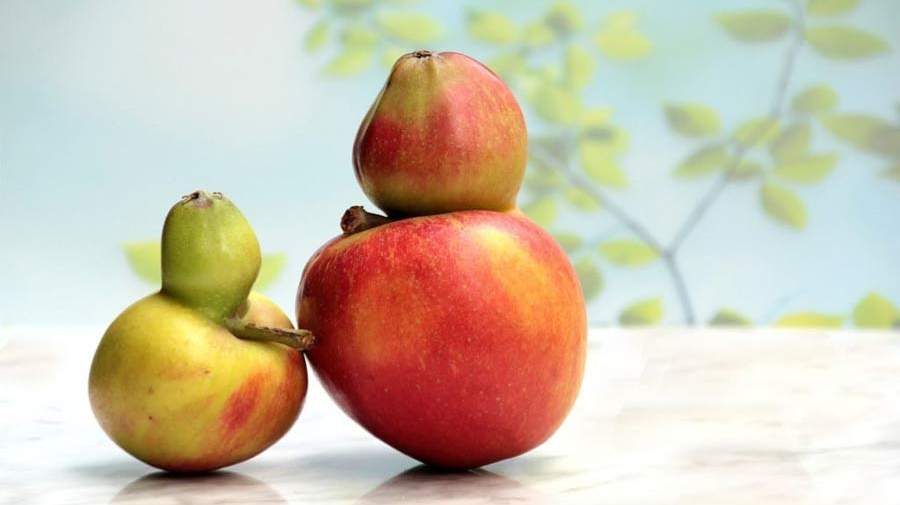 پذیرش خود و جهان اطراف‌مان چرا؟ و چگونه؟