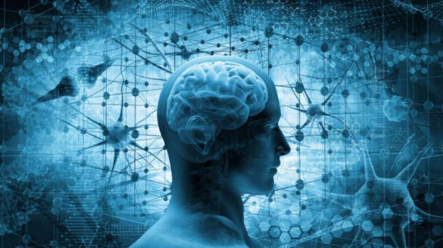 نابرابری در آمد و رشد مغزی کودکان