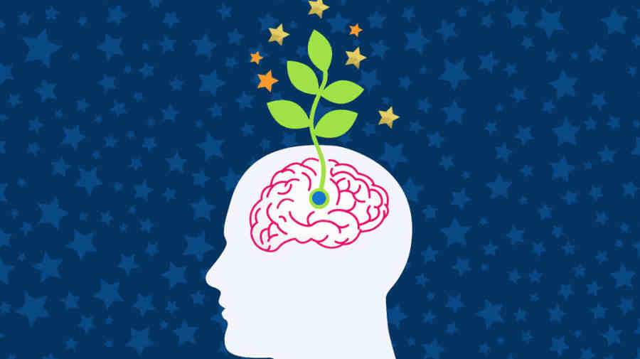 ذهنیت رشد چیست ؟