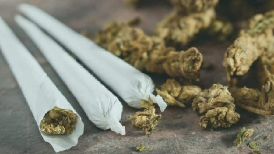 اثرات مخرب مخدر گل در ایران از تمام مخدرهای دیگر بالاتر است