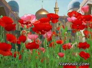 اصول بهداشتی و پزشکی امام رضا علیه السّلام برای پیشگیری از بیماری