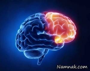 درباره آتروفی مخچه چه میدانید