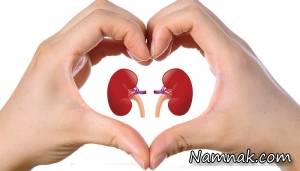 دارو گیاهی چاق کننده کلیه ها