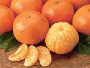 نارنگی میوه ای برای درمان خانگی در زمستان