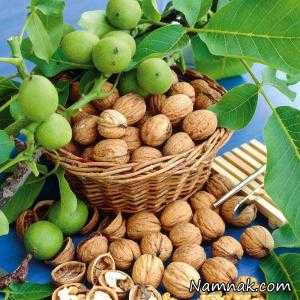 برای پیشگیری و جلوگیری ازسکته و حمله قلبی چقدر گردو بخوریم؟