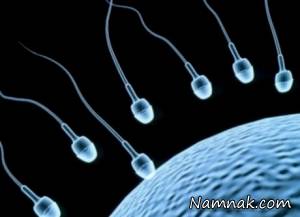 چگونه قدرت باروری را با غذا افزایش دهیم