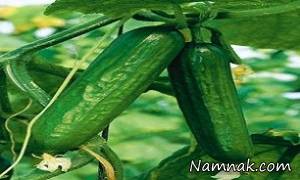 خواص باورنکردنی خیار رابشناسید