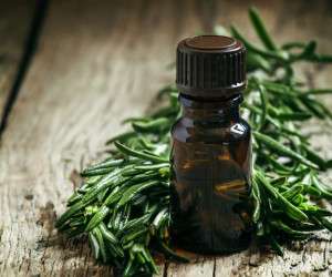 4 نوع ماسک روغن درخت چای برای ریزش مو