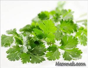خواص شگفت انگیز جعفری