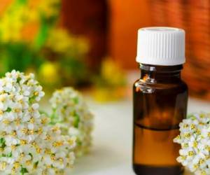 خواص روغن بومادران برای سلامت بدن و درمان بیماری ها