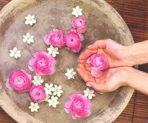 فواید گلاب برای پوست و روش صحیح استفاده از آن برای زیبایی و جوانی