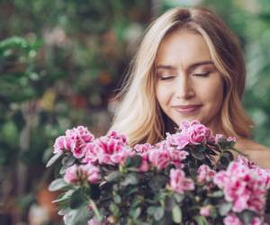 عوامل موثر در از دست دادن یا کاهش حس بویایی و چشایی&nbsp;
