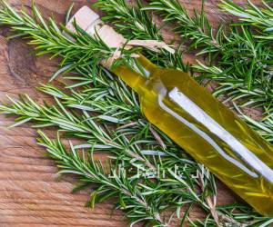 روغن رز ماری و مصارف، خواص ، فواید و عوارض این روغن گیاهی