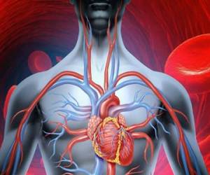 راه های افزایش گردش خون در بدن
