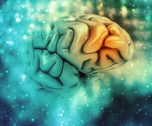 تاثیر فصل های مختلف و تغییر فصل روی مغز 