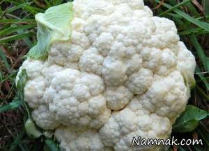 مواد غذایی سفید رنگ چه خواصی دارند