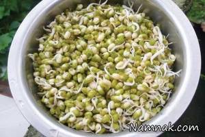 کاهش کلسترول خون بالا با دانه یونجه