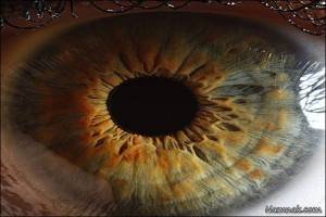 مرد آمریکایی که بعد از چهل سال دوباره بینا شد