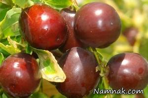 کنترل قند خون با خوردن عناب