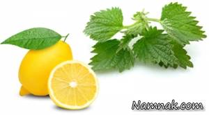 دمنوش گزنه و لیموترش برای درمان کم خونی