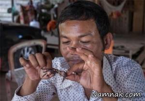 رتیل خوری برای درمان کمر درد و اختلالات تنفسی