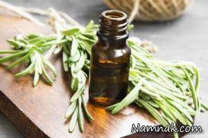 قبولی در امتحانات با رزماری
