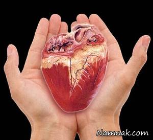 همه چیز درباره پیوند عضو