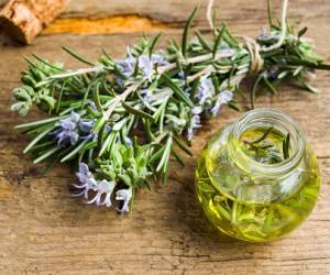 تقویت و رشد مو با روغن اکلیل کوهی