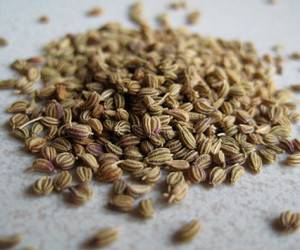 با زنیان و خواص دارویی ، درمانی و زیبایی زنیان آشنا شوید