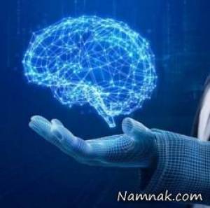 تحقیقات جالب در مورد رشد و تکامل مغز