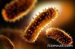 فرد مبتلا به بیماری هاری محکوم به مرگ است