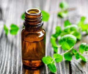 خواص روغن پونه و اثرات مثبت این روغن گیاهی