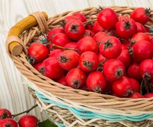 خواص زالزالک برای سلامت بدن و درمان بیماری ها