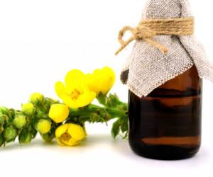 خواص روغن خرگوشک برای سلامت بدن و درمان بیماری ها