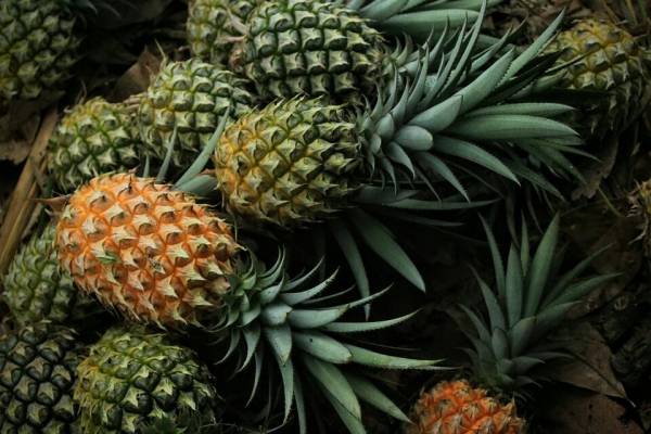 فواید آناناس چیست؟