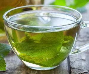 خواص و فواید درمانی عرق گیاهی نعناع