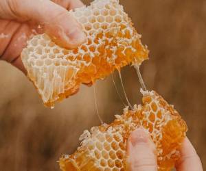 موم عسل چه خواصی دارد ؟