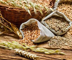 خواص جو و فواید آن برای سلامت بدن و درمان بیماری ها