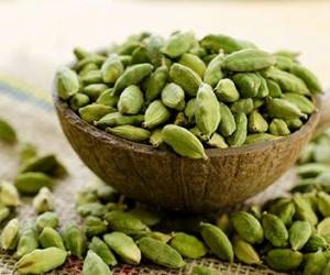 فواید و مضرات استفاده از هل در غذا و چای