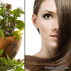 نحوه استفاده از گیاه دم اسب برای کمک به تقویت مو