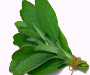 گیاه مرموک چیست و چه خواصی دارد ؟