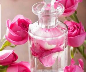 فواید دارویی و درمانی گلاب برای شرایط مختلف بدنی