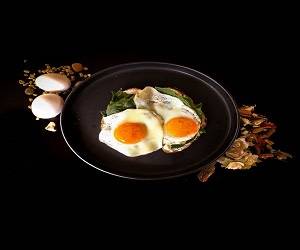  تخم مرغ و پروتئین