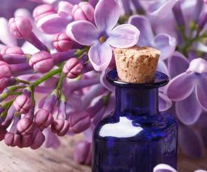 همه چیز درباره خواص و فواید درمانی روغن بنفشه