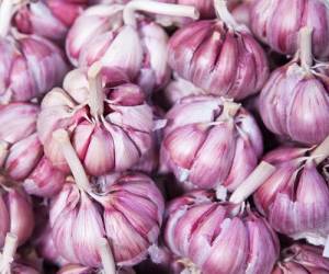 خوردن سیر خام&nbsp;چطور و چه زمانی درست است؟