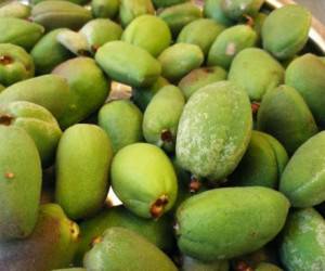 اگر زیاد چغاله بادام می خورید، مراقب باشد