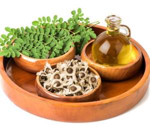 خواص روغن مورینگا و اثرات درمانی مهم آن