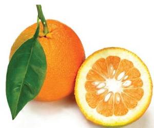 خواص درمانی و سلامتی نارنج و فواید پوست ، برگ و روغن نارنج