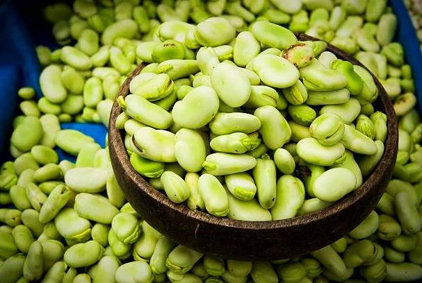 برای خشک کردن باقلا 