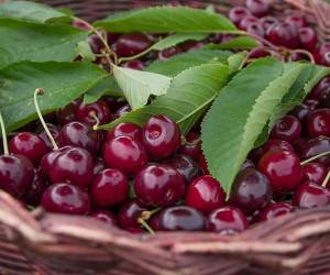 آلبالو برای سلامت بدن و درمان بیماری ها خواص بسیار دارد